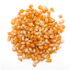 HS POPCORN PLAIN 